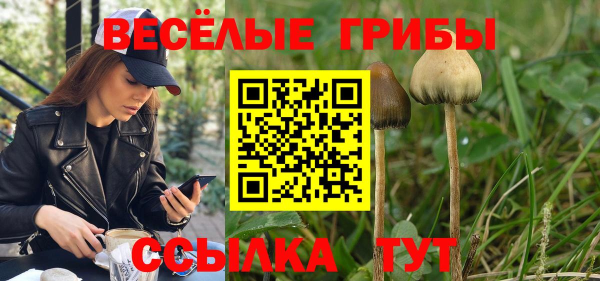 даркнет сайт  Галлюциногенные грибы Cubensis  Вход с VPN  Псилоцибиновые грибы Psilocybe  Отрадное 